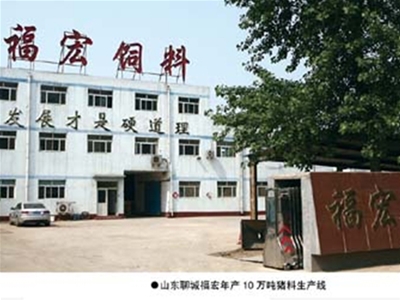 山東聊城福宏年產(chǎn)10萬(wàn)噸豬料生產(chǎn)線